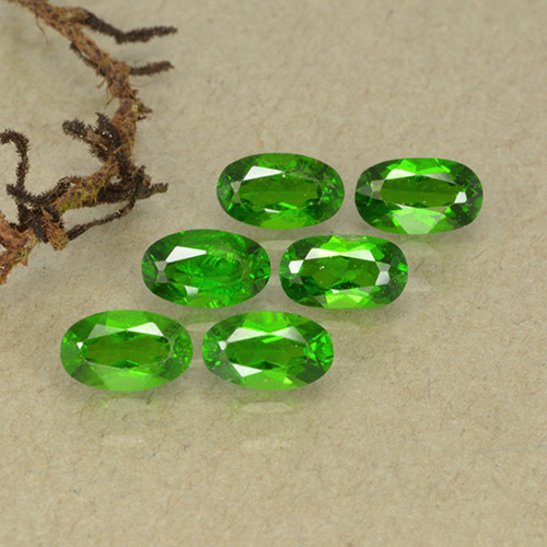 1,54 ct natürliche grüner Chromdiopsid-Edelsteine, Oval Schliff, VS-SI