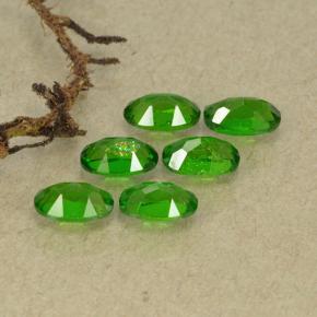 1,54 ct natürliche grüner Chromdiopsid-Edelsteine, Oval Schliff, VS-SI