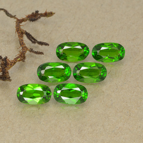 1,57 ct natürliche grüner Chromdiopsid-Edelsteine, Oval Schliff, VS-SI