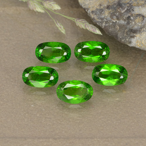 1,37 ct natürliche grüner Chromdiopsid-Edelsteine, Oval Schliff, VS