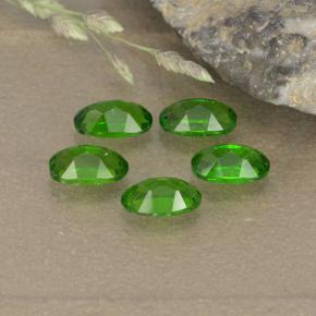 1,37 ct natürliche grüner Chromdiopsid-Edelsteine, Oval Schliff, VS