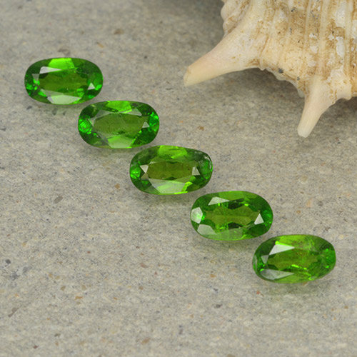 1,12 ct natürliche grüner Chromdiopsid-Edelsteine, Oval Schliff, VS