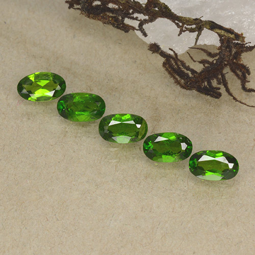 1,18 ct natürliche grüner Chromdiopsid-Edelsteine, Oval Schliff, VS