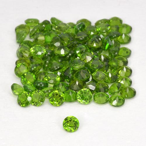 2,59 ct natürliche grüner Chromdiopsid-Edelsteine, Rundschliff, VS