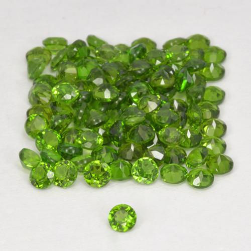 2,59 ct natürliche grüner Chromdiopsid-Edelsteine, Rundschliff, VS