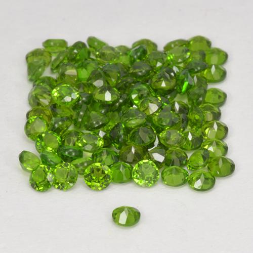 2,59 ct natürliche grüner Chromdiopsid-Edelsteine, Rundschliff, VS