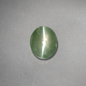1,03 ctw natürlicher grüner Chrysoberyl Cat's Eye, Transparent, Transparent / Lichtdurchlässig