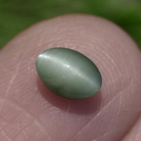 0,86 ctw natürlicher grüner Chrysoberyl Cat's Eye, Oval Schliff, Lichtundurchlässig