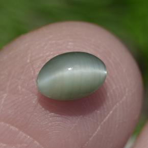 0,86 ctw natürlicher grüner Chrysoberyl Cat's Eye, Oval Schliff, Lichtundurchlässig