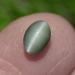 0,86 ctw natürlicher grüner Chrysoberyl Cat's Eye, Oval Schliff, Lichtundurchlässig