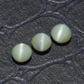 1.31 ct natürliche Grün Chrysoberyll-Katzenauge-Edelsteine, Rund Schliff, Lichtdurchlässig