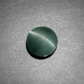 1,08 ctw natürlicher grüner Chrysoberyl Cat's Eye, Rundschliff, Lichtundurchlässig