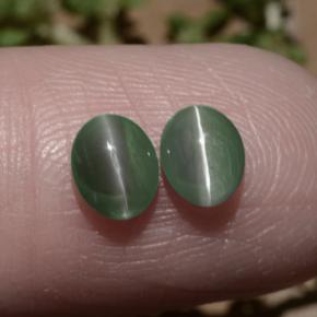 1,06 ct natürliche grüner Chrysoberyl Cat's Eye-Edelsteine, Oval Schliff, Lichtdurchlässig