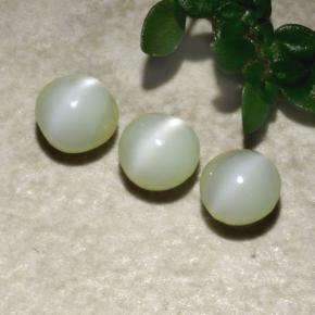 1.31 ct natürliche Grün Chrysoberyll-Katzenauge-Edelsteine, Runden, Lichtundurchlässig