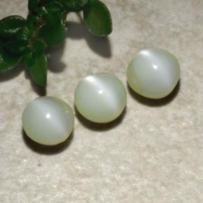 1.31 ct natürliche Grün Chrysoberyll-Katzenauge-Edelsteine, Runden, Lichtundurchlässig