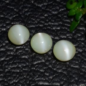 1,31 ct natürliche grüner Chrysoberyll-Katzenauge-Edelsteine, Rundschliff, Lichtdurchlässig