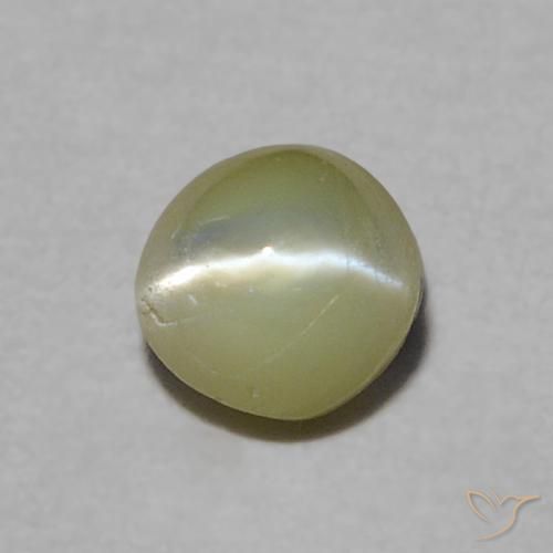 9,17 ctw natürlicher gelblich-grün Chrysoberyll-Katzenauge, Rund Schliff, Lichtdurchlässig