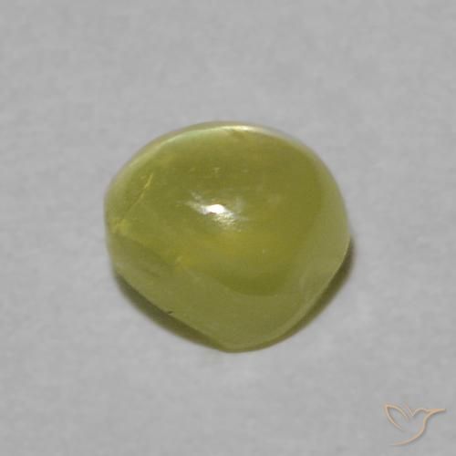 9,17 ctw natürlicher hellgrün Chrysoberyll-Katzenauge, Runden, Transparent