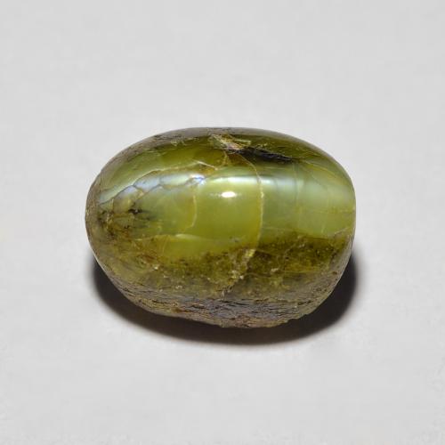 3,69 ctw natürlicher grüner Chrysoberyl Cat's Eye, Oval Schliff, Lichtundurchlässig