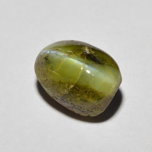 3,69 ctw natürlicher grüner Chrysoberyl Cat's Eye, Oval Schliff, Lichtundurchlässig