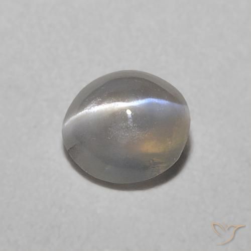0.32ct Natürlicher Sehr helles Grau Chrysoberyll-Katzenauge, Oval, Lichtdurchlässig