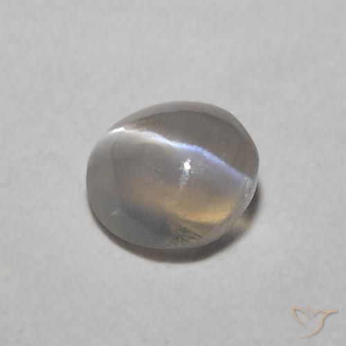 9,17 ctw natürlicher Sehr helles Grau Chrysoberyll-Katzenauge, Oval, Lichtdurchlässig