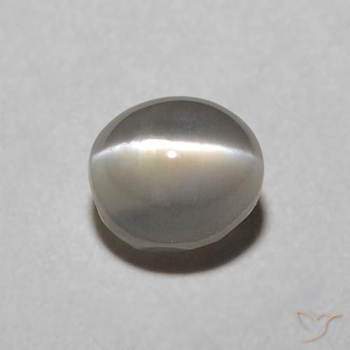 0.57ct Natürlicher Sehr helles Grau Chrysoberyll-Katzenauge, Oval, Lichtdurchlässig