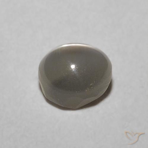 9,17 ctw natürlicher Sehr helles Grau Chrysoberyll-Katzenauge, Oval, Lichtdurchlässig