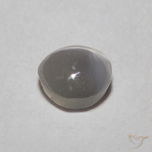 9,17 ctw natürlicher Warm Grey Chrysoberyll-Katzenauge, Oval, Lichtdurchlässig