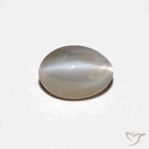 9,17 ctw natürlicher Sehr helles Grau Chrysoberyll-Katzenauge, Oval, Lichtundurchlässig