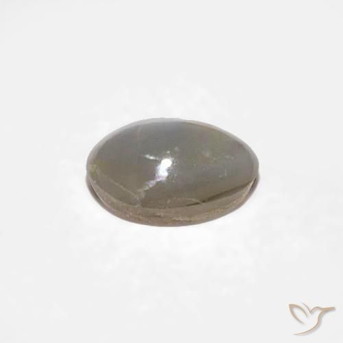 9,17 ctw natürlicher Sehr helles Grau Chrysoberyll-Katzenauge, Oval, Lichtundurchlässig
