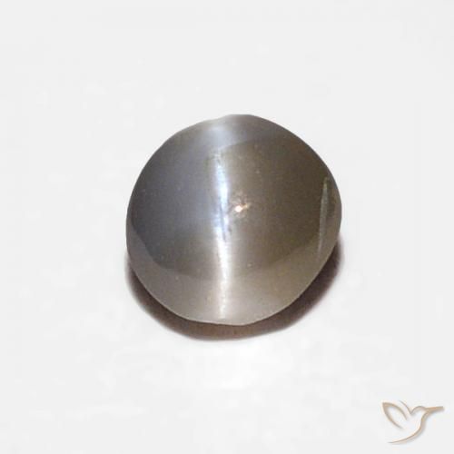 0.16ct Natürlicher Grauschwarz Chrysoberyll-Katzenauge, Oval, Lichtundurchlässig