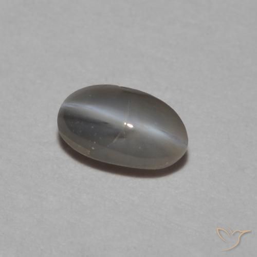 9,17 ctw natürlicher silbergrau Chrysoberyll-Katzenauge, Oval, Lichtundurchlässig