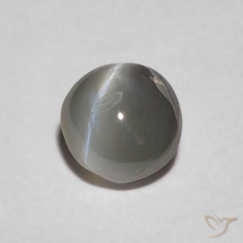 9,17 ctw natürlicher Medium Dark-Gray Chrysoberyll-Katzenauge, Oval, Lichtundurchlässig