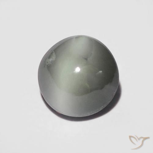 9,17 ctw natürlicher Mittelgrau Chrysoberyll-Katzenauge, Runden, Lichtundurchlässig