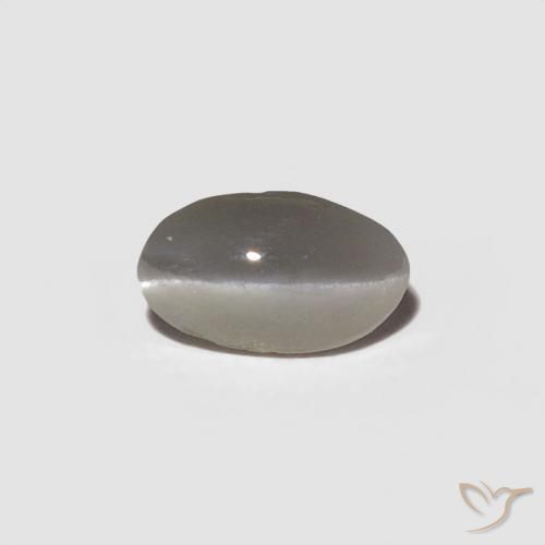 0.29ct Natürlicher Sehr helles Grau Chrysoberyll-Katzenauge, Oval, Lichtundurchlässig