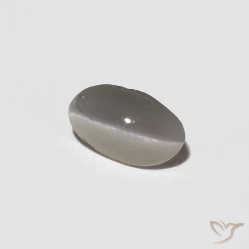 9,17 ctw natürlicher Sehr helles Grau Chrysoberyll-Katzenauge, Oval, Lichtundurchlässig