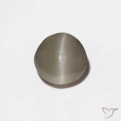 0.20ct Natürlicher Sehr helles Grau Chrysoberyll-Katzenauge, Runden, Lichtundurchlässig