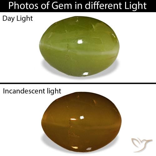 5.24ct Waldgrün Chrysoberyll-Katzenauge, Oval, Lichtundurchlässig