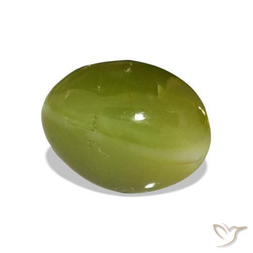 9,17 ctw natürlicher Waldgrün Chrysoberyll-Katzenauge, Oval, Lichtundurchlässig