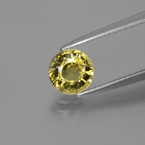9,17 ctw natürlicher grünlich-gold Chrysoberyll, Rund Schliff, VS