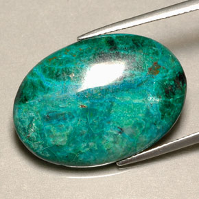 19,56 ctw natürlicher mehrfarbiger Chrysokoll, Oval Schliff, Lichtundurchlässig