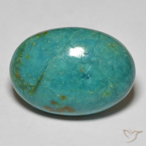 15.65ct Natürlicher grün-blau Chrysokoll, Oval, Lichtundurchlässig