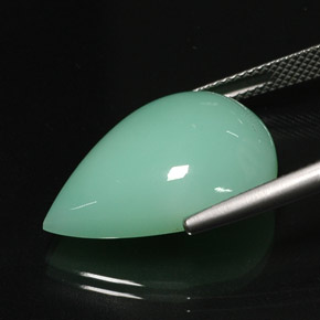 16,75 ctw natürlicher grüner Chrysopras, Transparent, Transparent / Lichtdurchlässig
