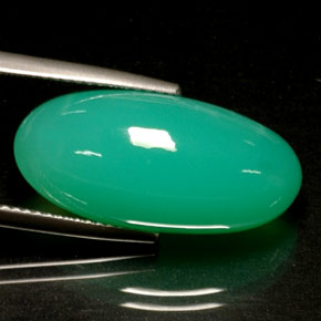 13,72 ctw natürlicher grüner Chrysopras, Transparent, Transparent / Lichtdurchlässig