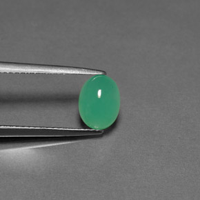 1,57 ctw natürlicher grüner Chrysopras, Transparent, Transparent / Lichtdurchlässig