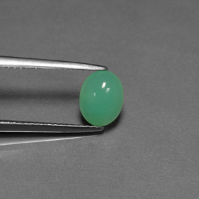 1,27 ctw natürlicher grüner Chrysopras, Transparent, Transparent / Lichtdurchlässig