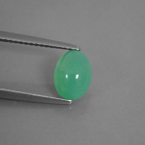 1,42 ctw natürlicher grüner Chrysopras, Transparent, Transparent / Lichtdurchlässig