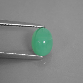 1,66 ctw natürlicher grüner Chrysopras, Transparent, Transparent / Lichtdurchlässig