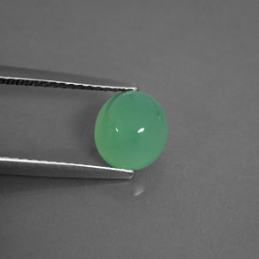 1,55 ctw natürlicher grüner Chrysopras, Transparent, Transparent / Lichtdurchlässig
